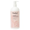 image:imageOuidad Advanced Climate Control Defrizzing Conditioner for Curly Hair  Hydrates Smooths amp Defines Curls Blocks Humidity amp Frizz Ceramides amp Shea Lock In Moisture All Curl Types SulfateFree338 Fl Oz Pack of 1