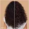 image:imageOuidad Advanced Climate Control Restore  Revive BiPhase Spray  Refresh Curls Between Wash Days Adds Moisture amp Shine with Mongongo amp Grapeseed Oils Fights Frizz All Curl Types SulfateFree1 Count Pack of 1